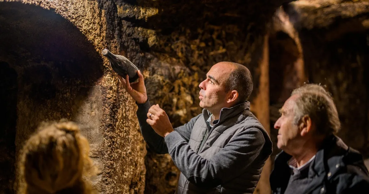 Vouvray vineyards and a cave cellar on a Loire Valley wine tour from Tours