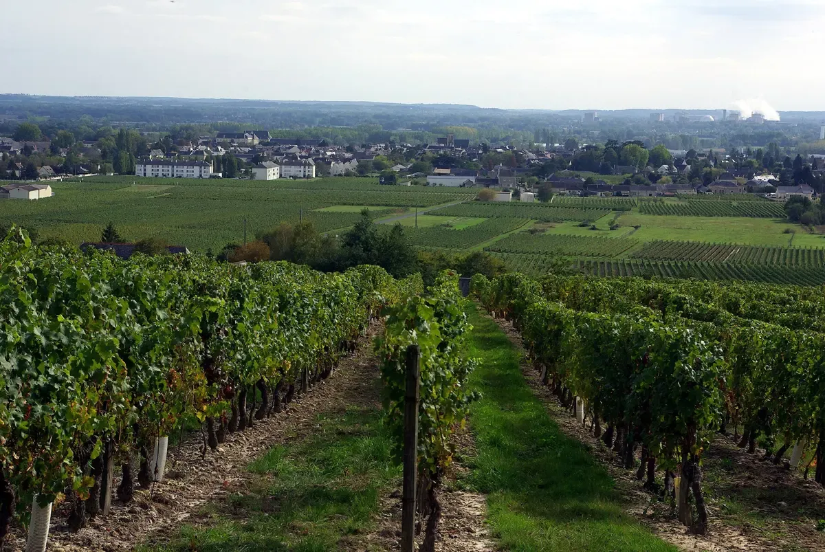 Bourgueil and its vineyards seen from the hills, the afternoon tasting on a Loire Valley wine tour from Tours