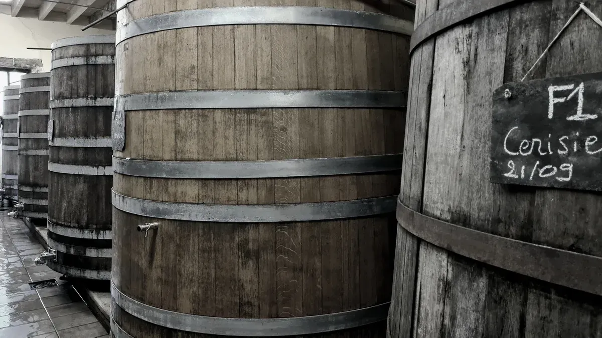 Oak fermenting vats in a Touraine winery, the kind of cellar visited on Loire Valley wine and castle tours